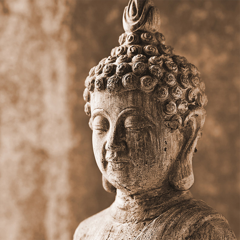 Fototapete Asiatische Stein-Skulptur – Braun, Grau
