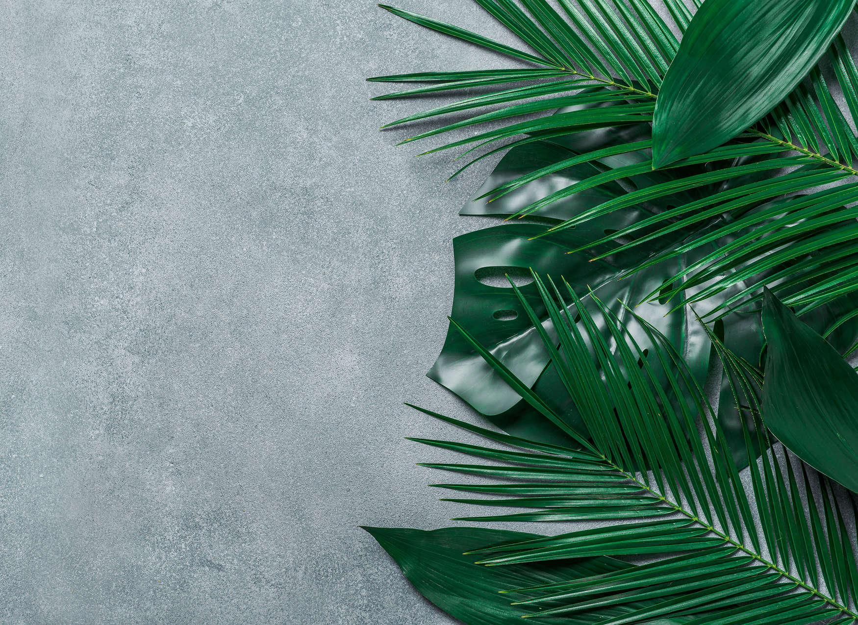             Fototapete tropische Blätter auf Betonuntergrund – Grün, Grau
        