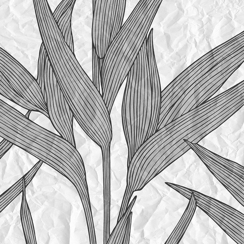 Fototapete Blätter & Papier-Optik – Grau, Weiß
