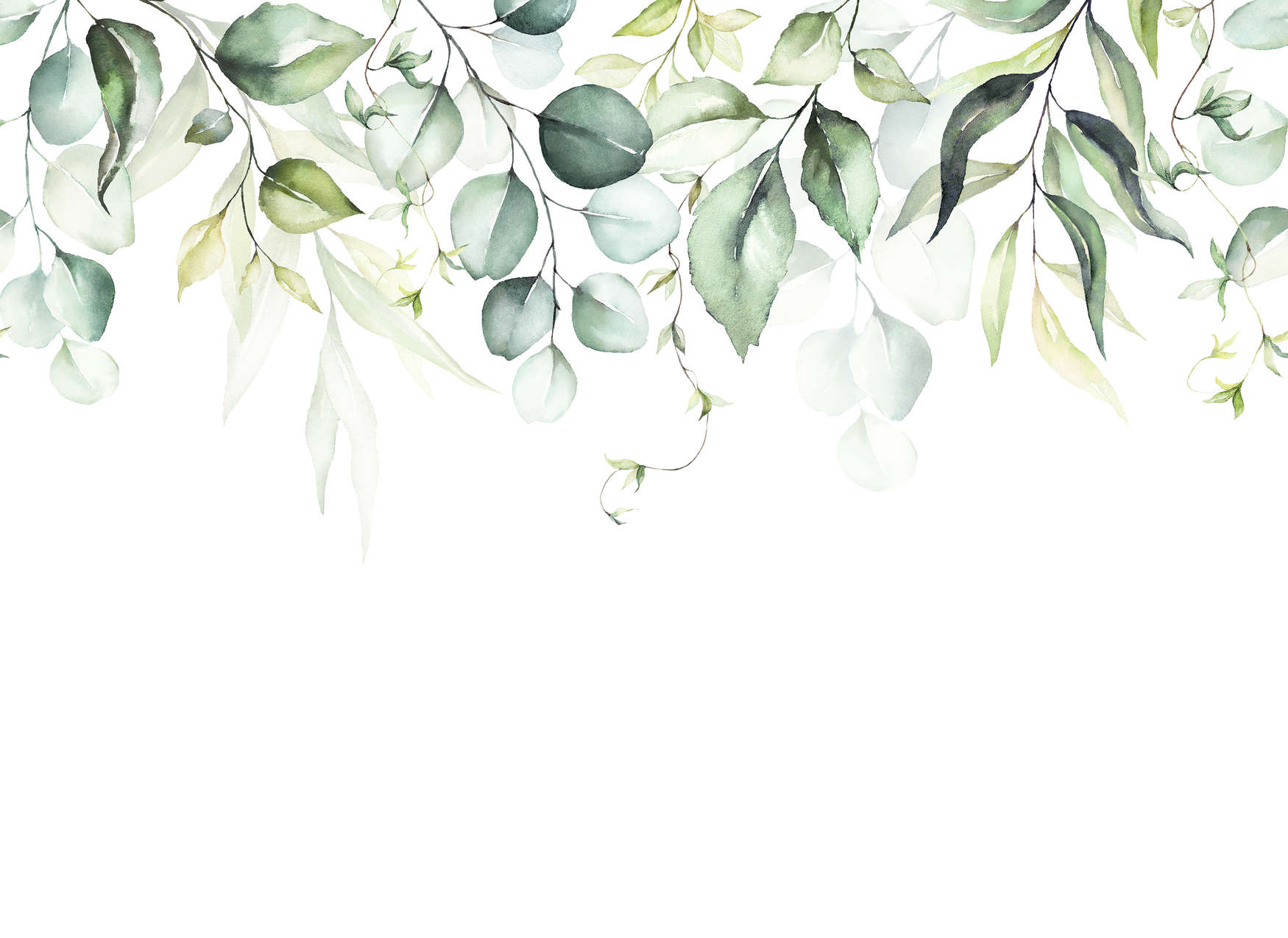             Fototapete mit Blätterranken im Wasserfarben-Look – Weiß, Grün
        