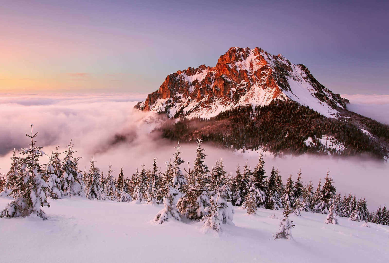 Fototapete Bergspitze mit Schnee – Weiß, Braun, Grün

