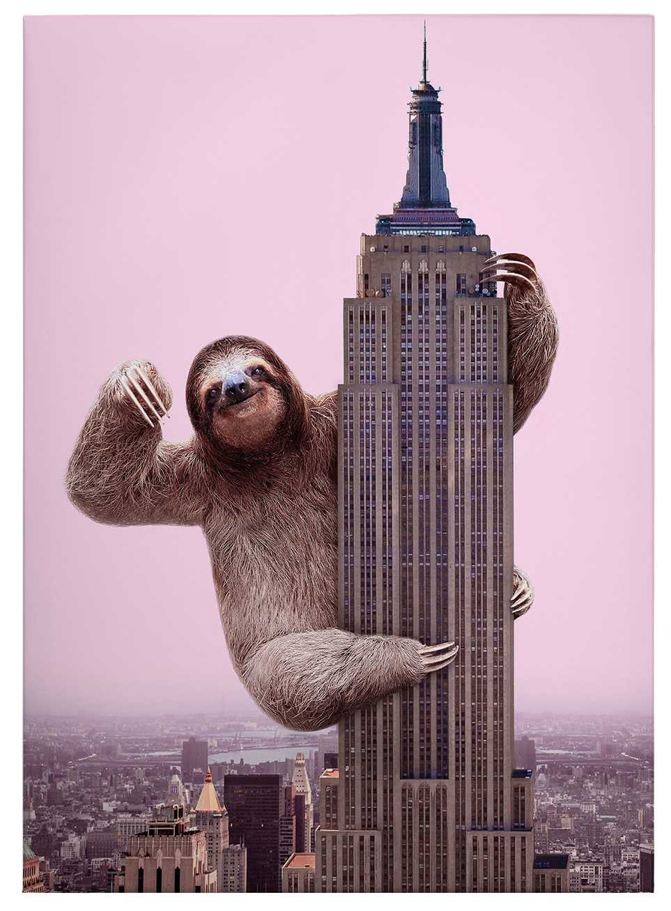             Leinwandbild Faultier von Fuentes, "King Sloth" – 0,50 m x 0,70 m
        