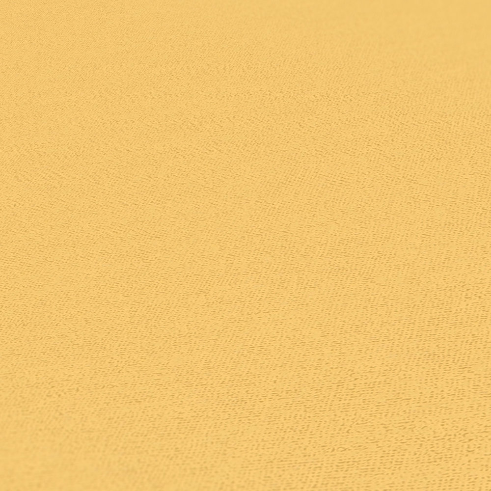             Gelbe Tapete von MICHALSKY einfarbig & matt
        