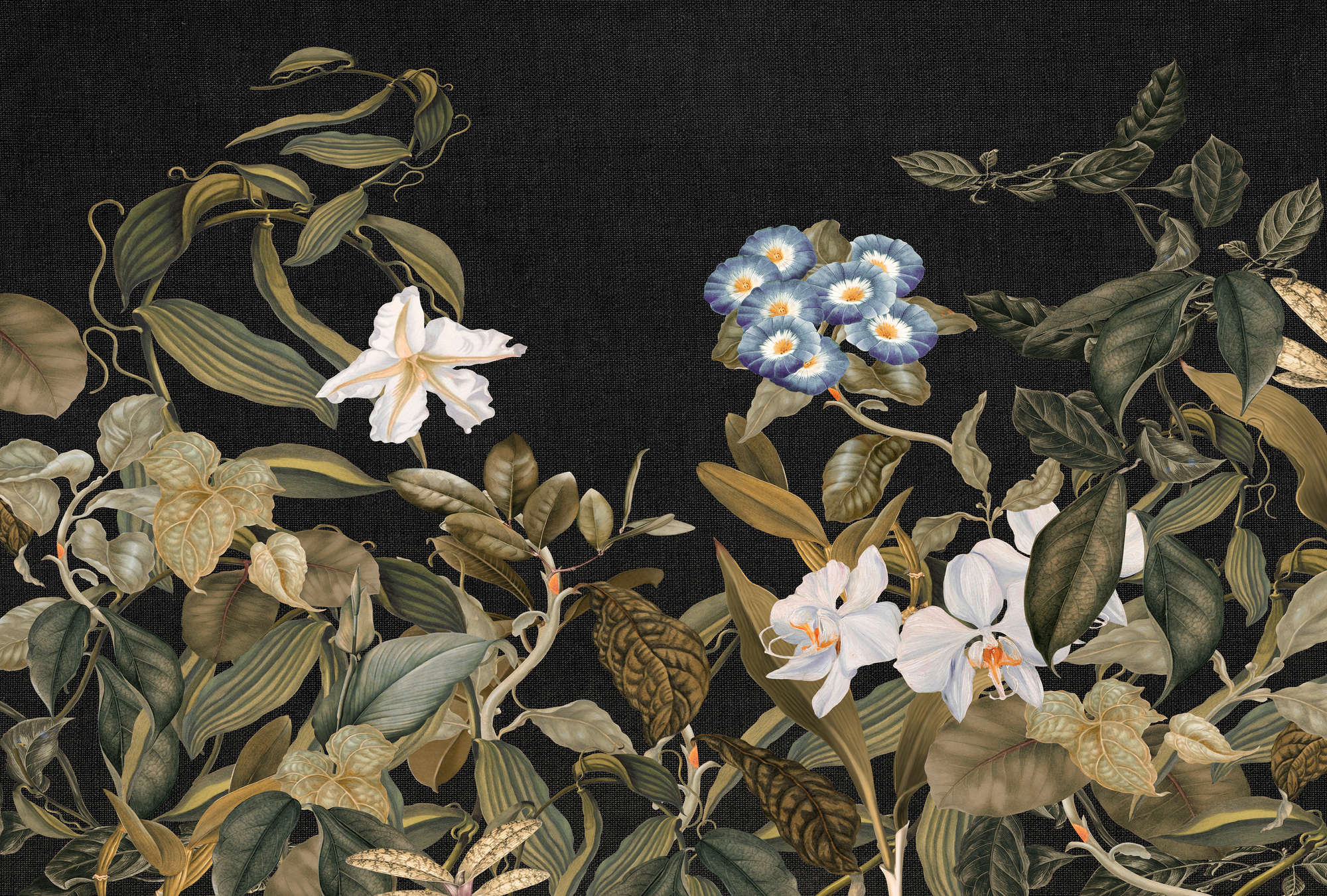             Botanical Fototapete mit Orchideen & Blätter-Motiv – Grün, Schwarz, Blau
        