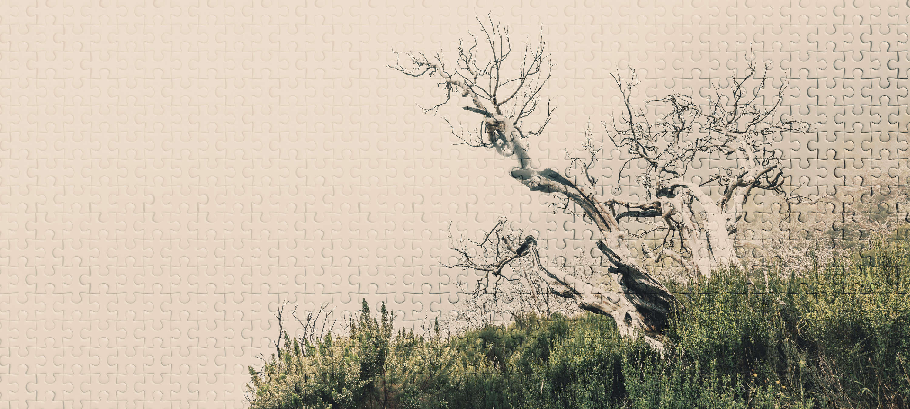             Puzzle-Fototapete mit Baum-Motiv und Puzzleteilen – Grün, Braun, Beige
        