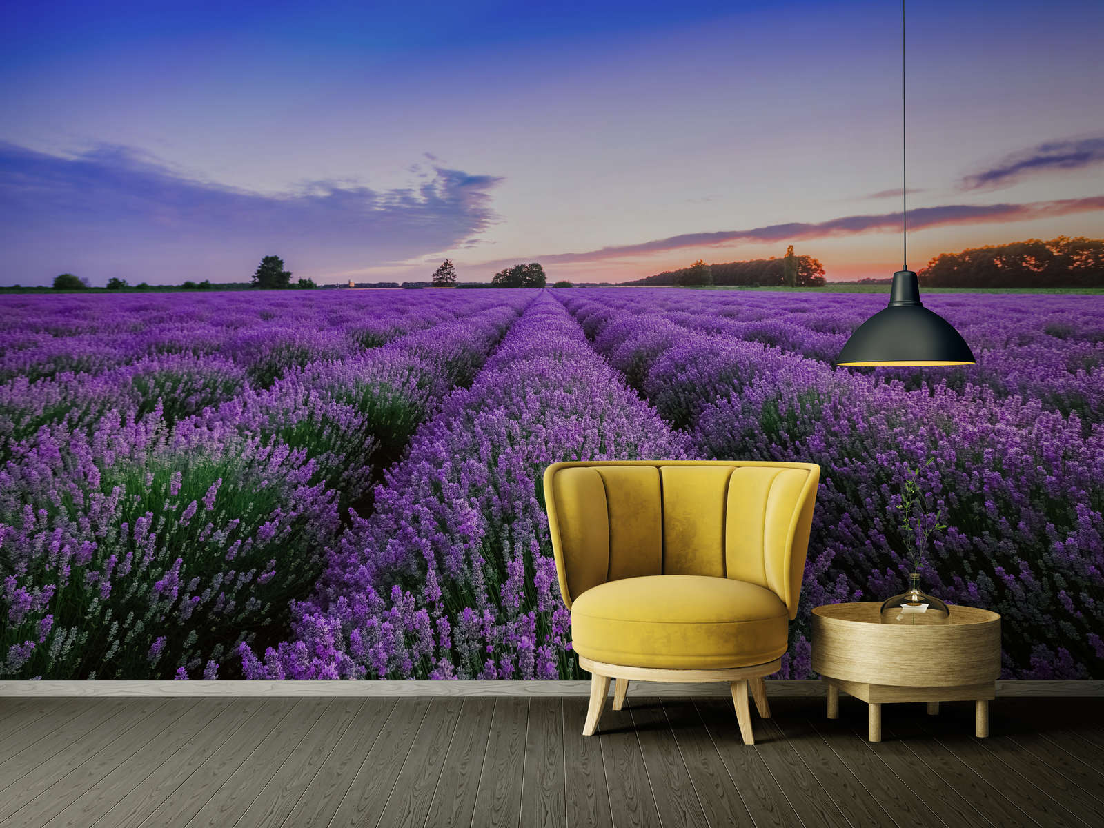             Pflanzen Fototapete Lavendelwiese auf Premium Glattvlies
        
