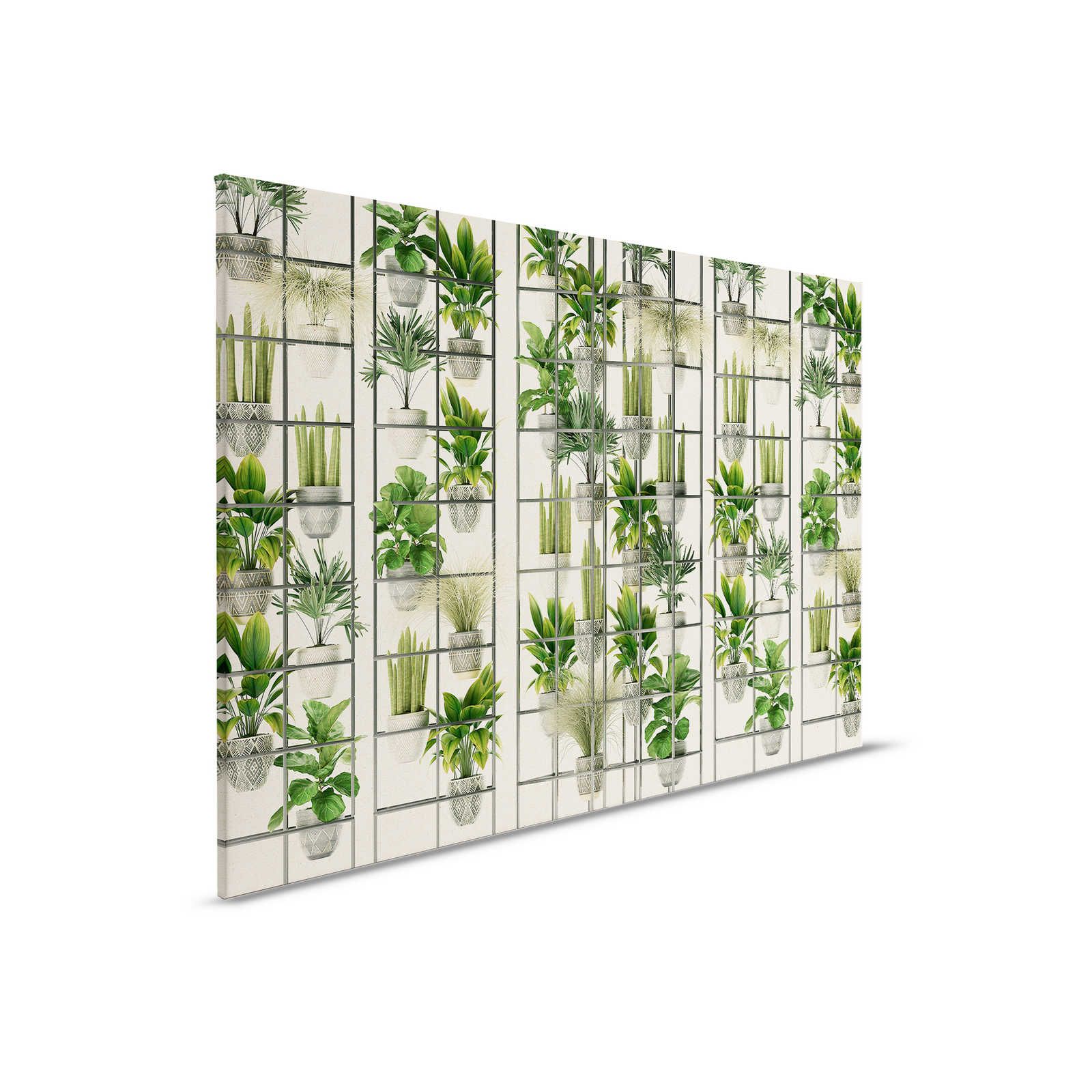 Plant Shop 2 - Leinwandbild moderne Pflanzenwand in Grün & Grau – 0,90 m x 0,60 m

