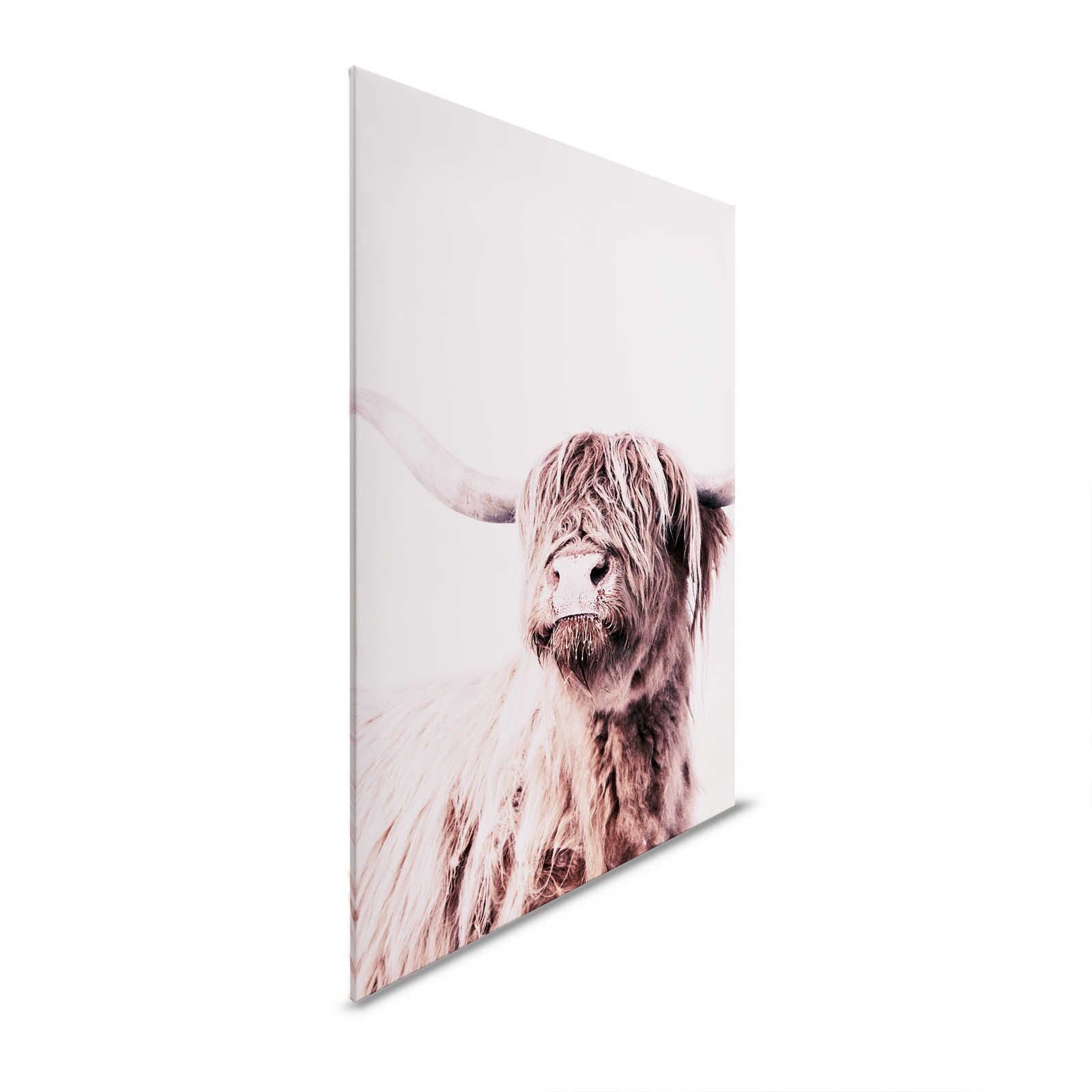 Leinwandbild Hochlandrind Portrait im Sepia Stil – 0,90 m x 0,60 m
