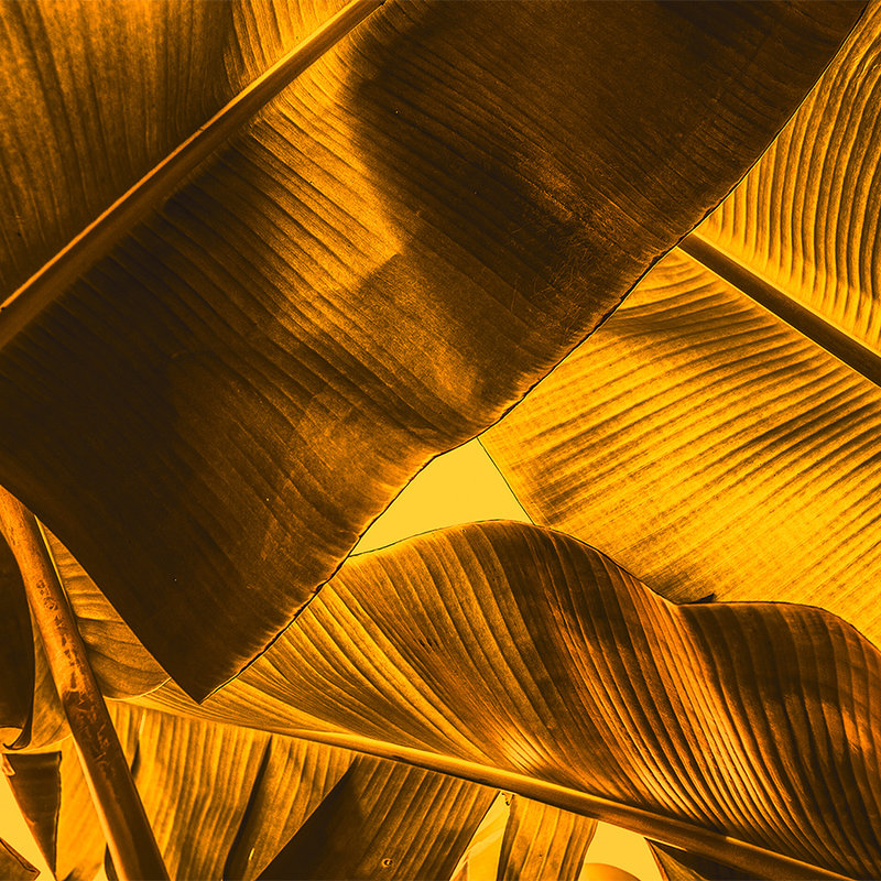 Tropische Blätter Detail-Bildmotiv – Orange, Gelb
