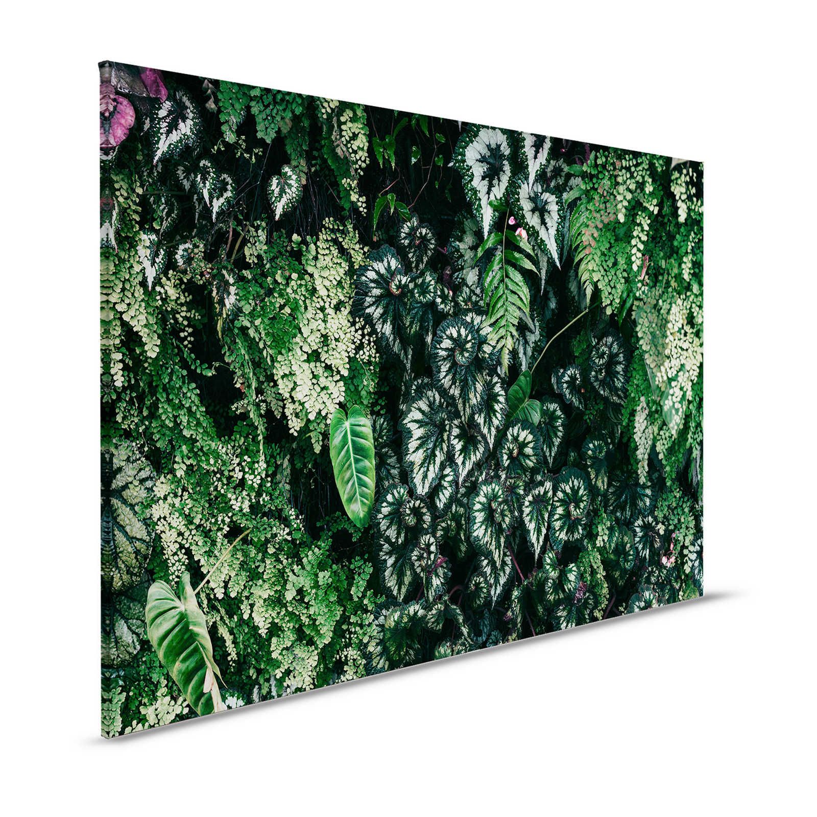 Deep Green 2 - Leinwandbild Blätterdickicht, Farne & Hängepflanzen – 1,20 m x 0,80 m
