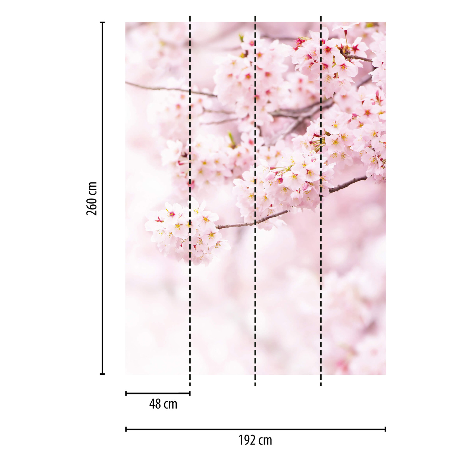             Fototapete schmal Frühjahrsblüten – Rosa, Weiß
        