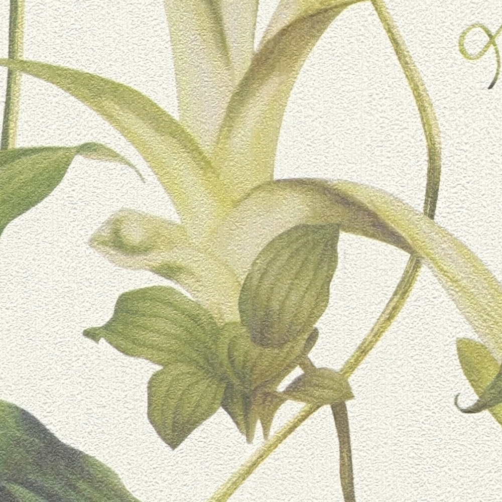             Vliestapete Tropische Blumen von MICHALSKY – Grün, Creme
        