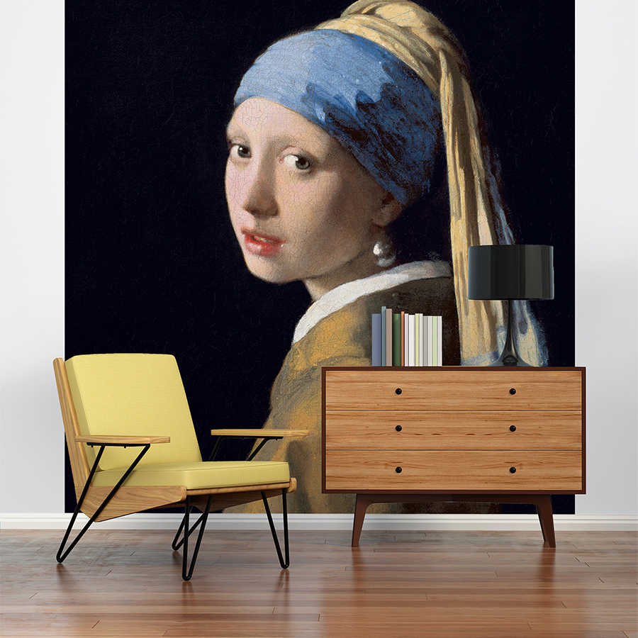         Fototapete "Das Mädchen mit dem Perlenohrring" von Jan Vermeer
    