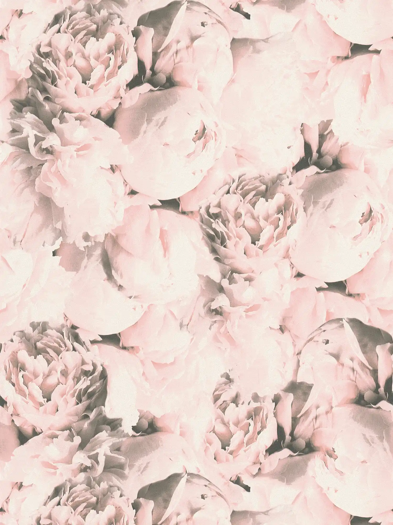         Blumentapete Rosen mit Schimmer Effekt – Rosa, Creme
    