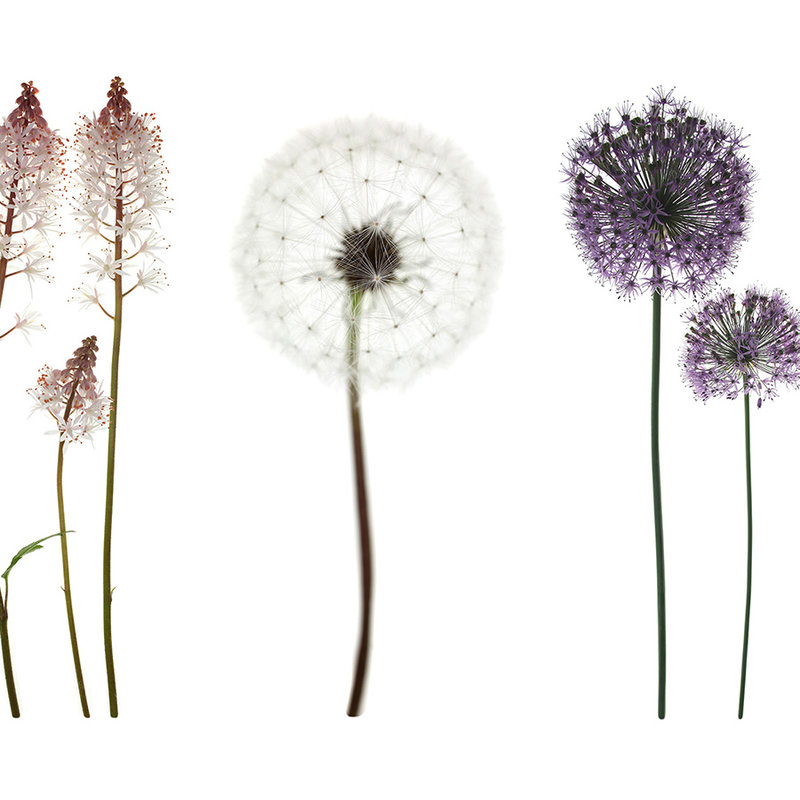 Fototapete mit Blumenvielfalt – Perlmutt Glattvlies
