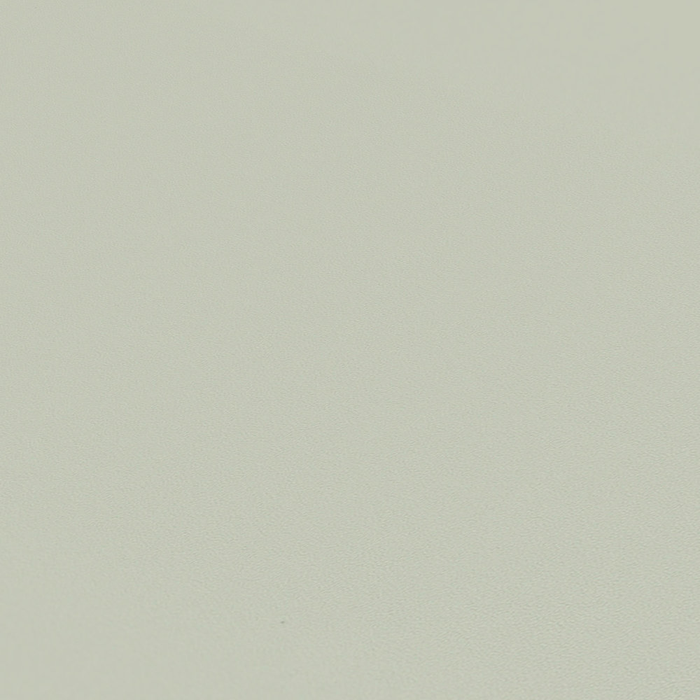             Unitapete monochrome Farbe & Matt-Effekt – Grau, Grün
        