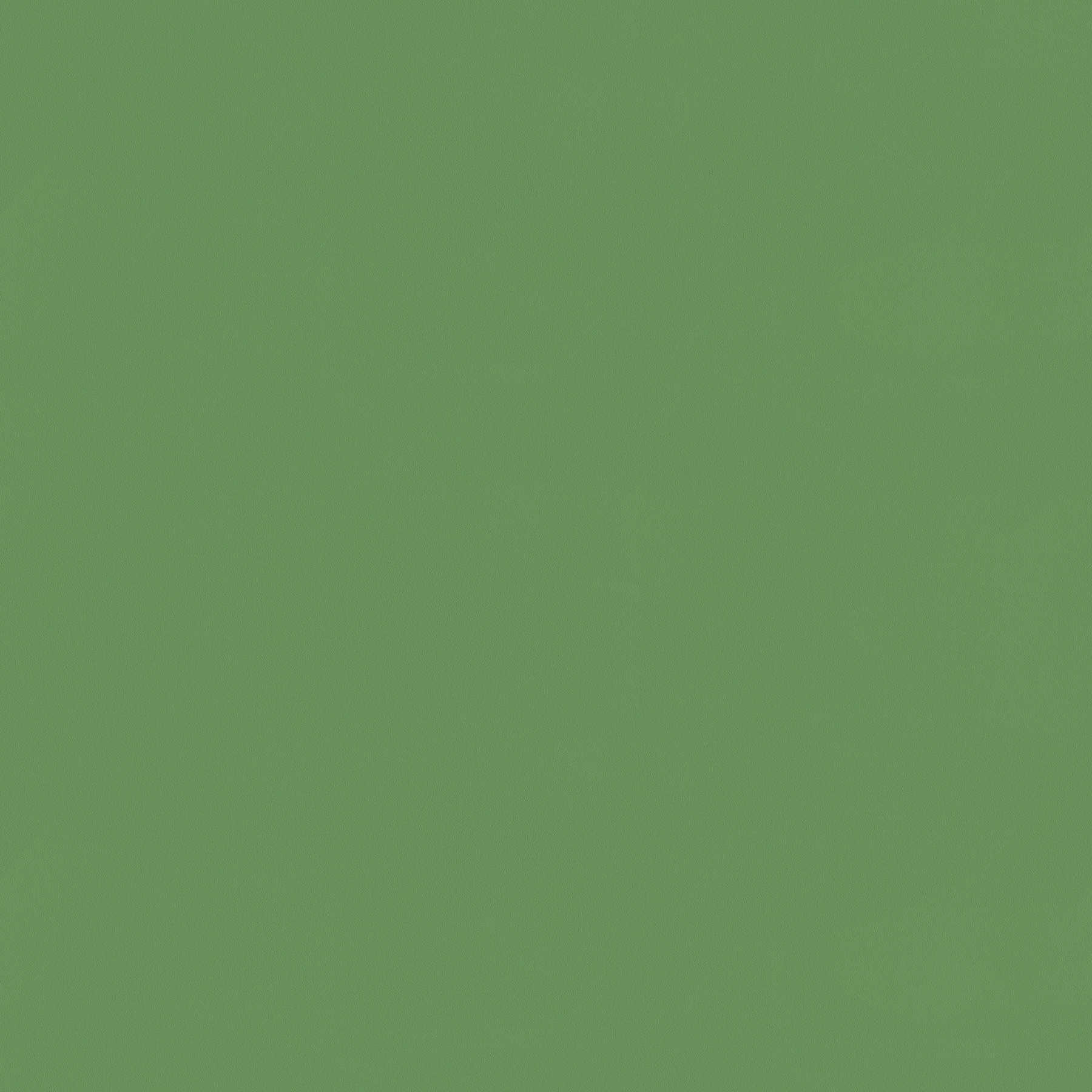 Premium Tapete einfarbig & matt – Grün
