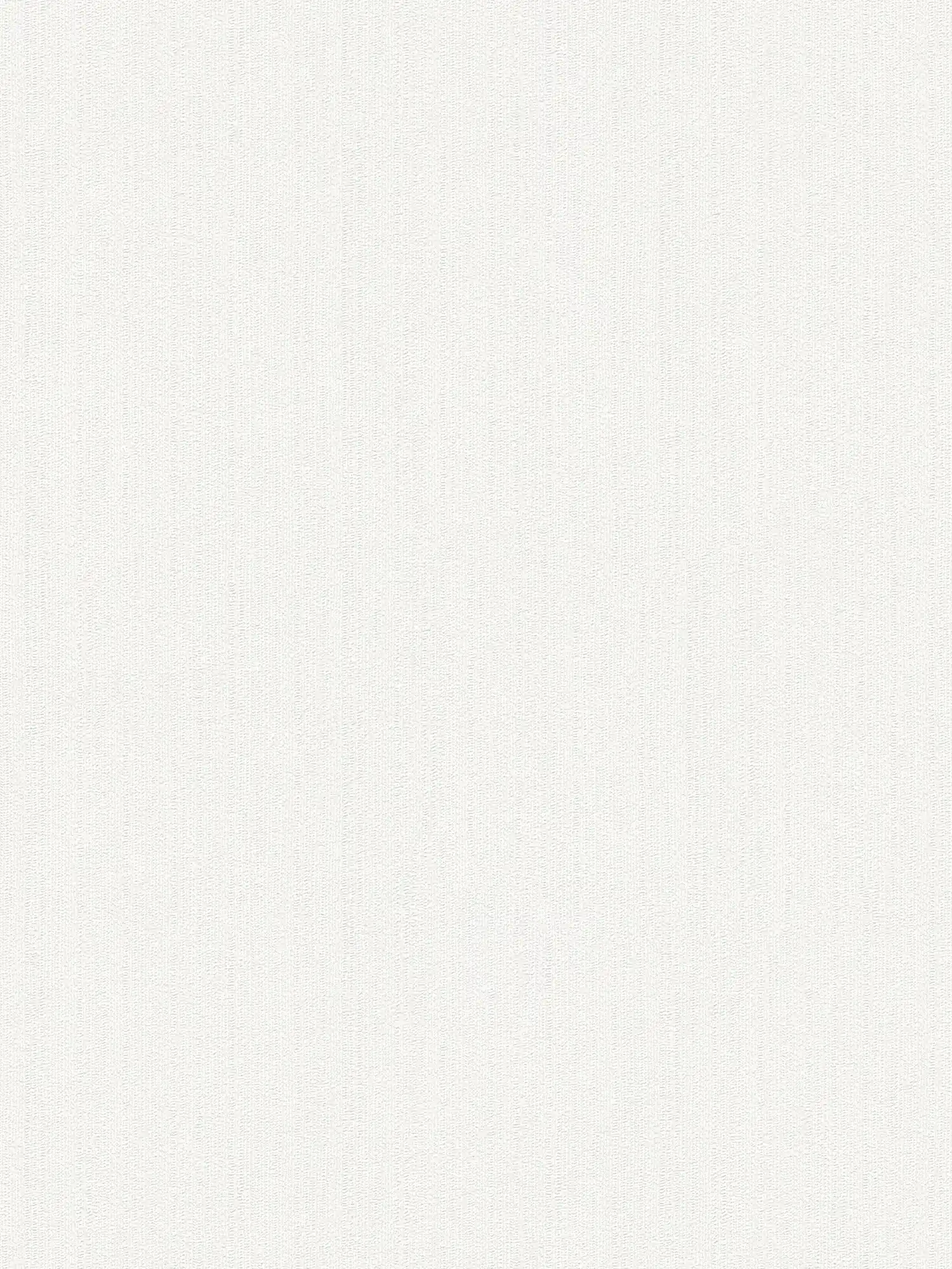 Vliestapete Weiß einfarbig, matt mit Schaumstruktur
