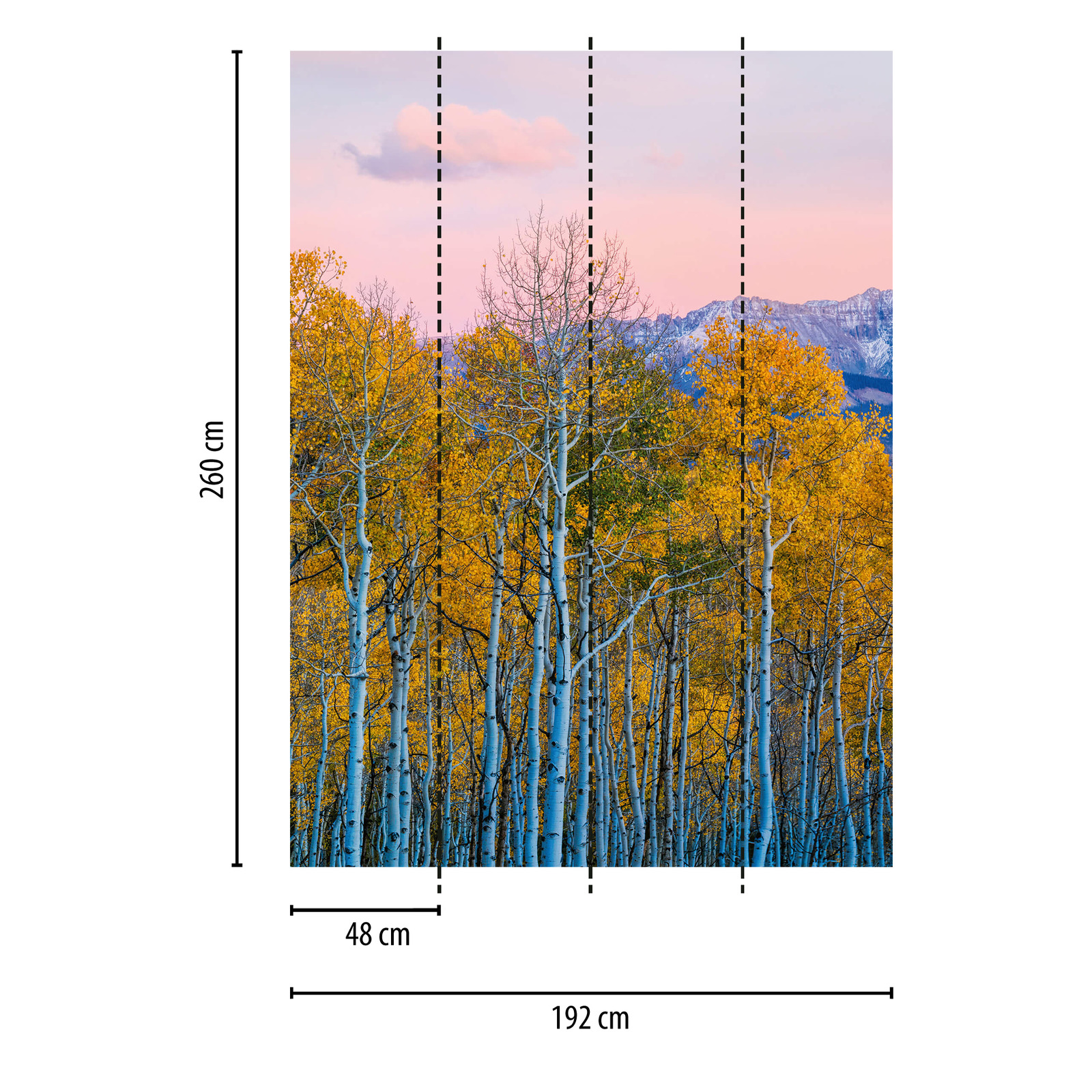             Fototapete Natur Bäume Birken – Gelb, Weiß, Grau
        
