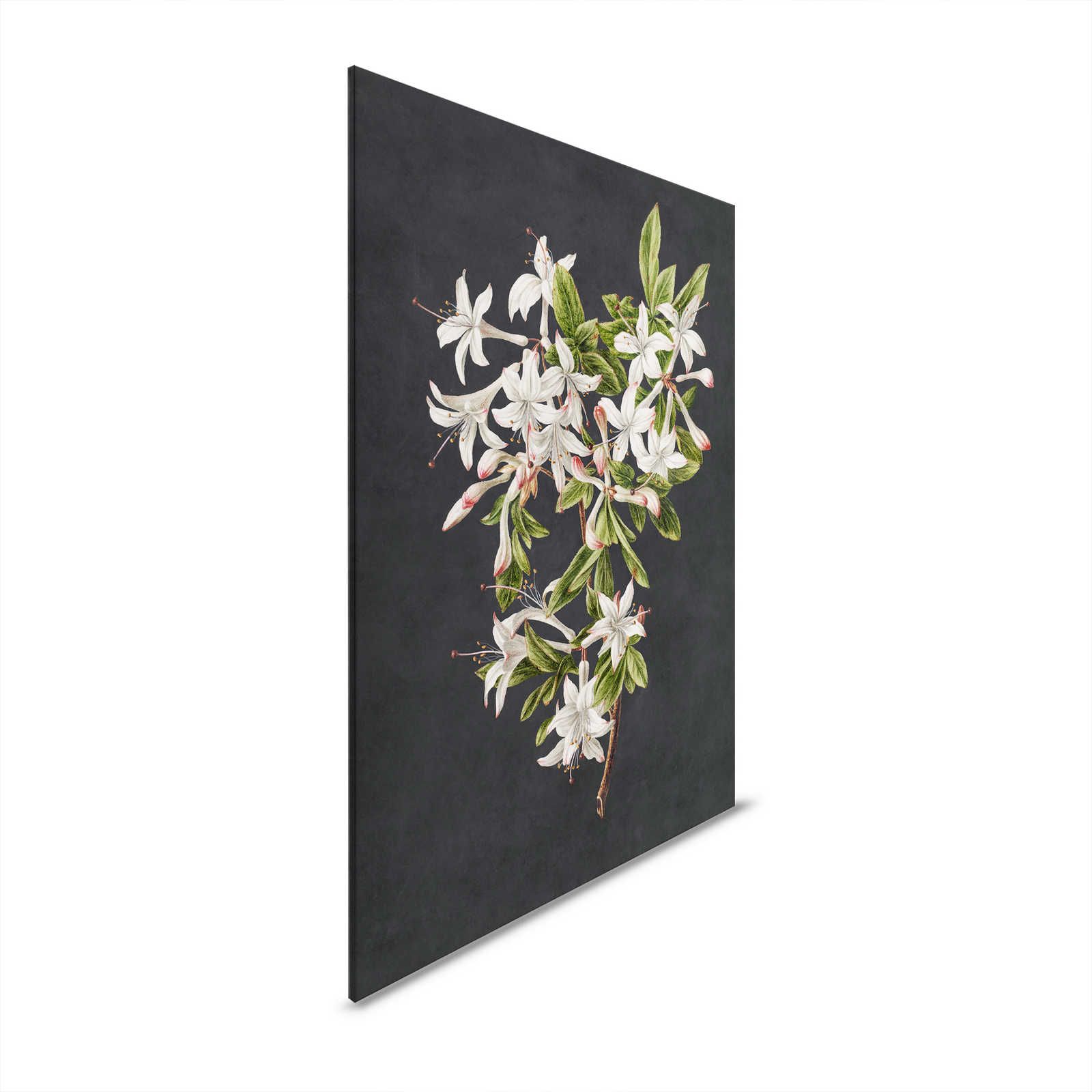Midnight Garden 2 - Schwarzes Leinwandbild Blütenzweig weiße Blumen – 0,60 m x 0,90 m
