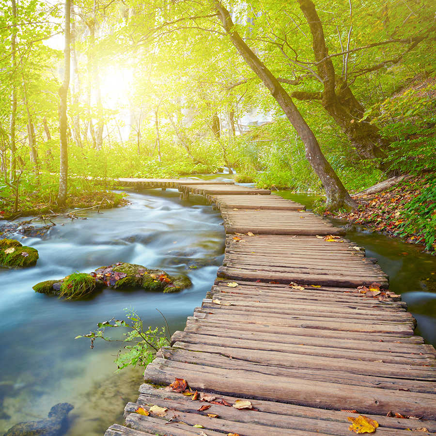 Natur Fototapete Fluss im Wald mit Holzsteg auf Perlmutt Glattvlies
