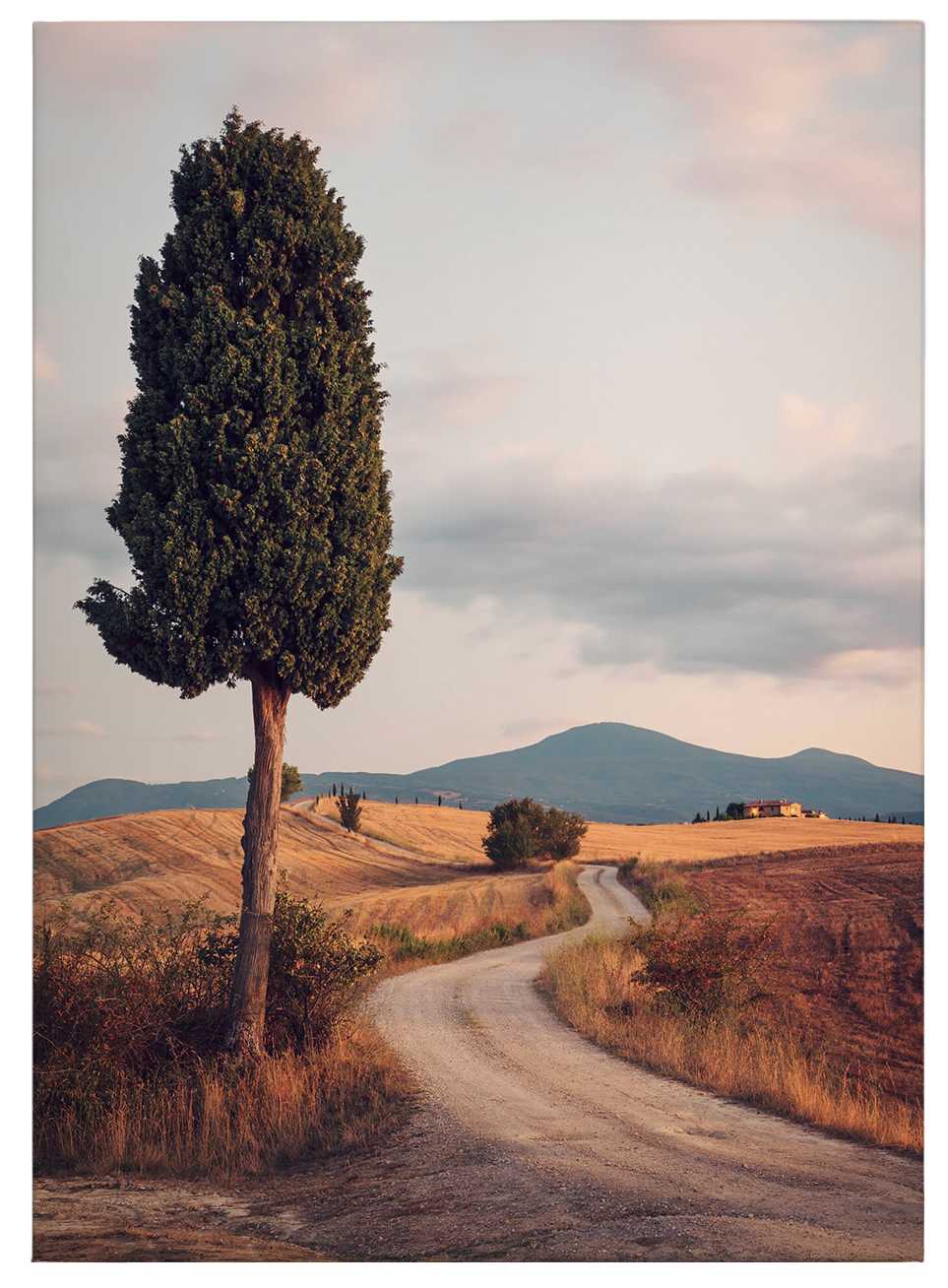            Leinwandbild Zypressenstraße in Italien – 0,50 m x 0,70 m
        