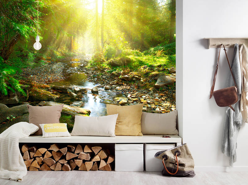             Natur Fototapete steiniger Bach im Wald auf Premium Glattvlies
        