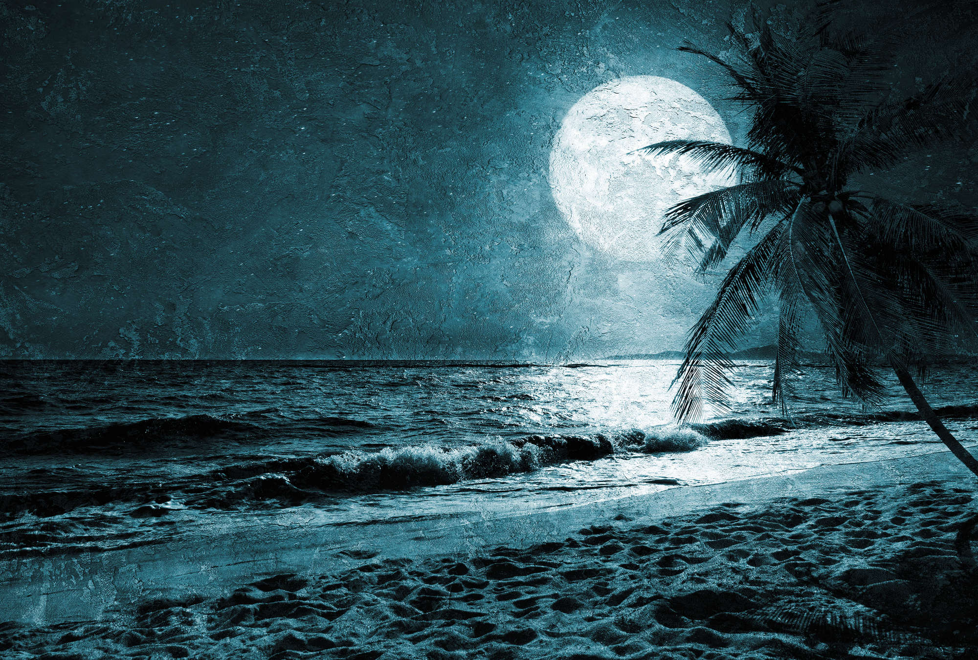             Strand Fototapete mit Palmen & Meer bei Nacht – Blau, Weiß, Schwarz
        