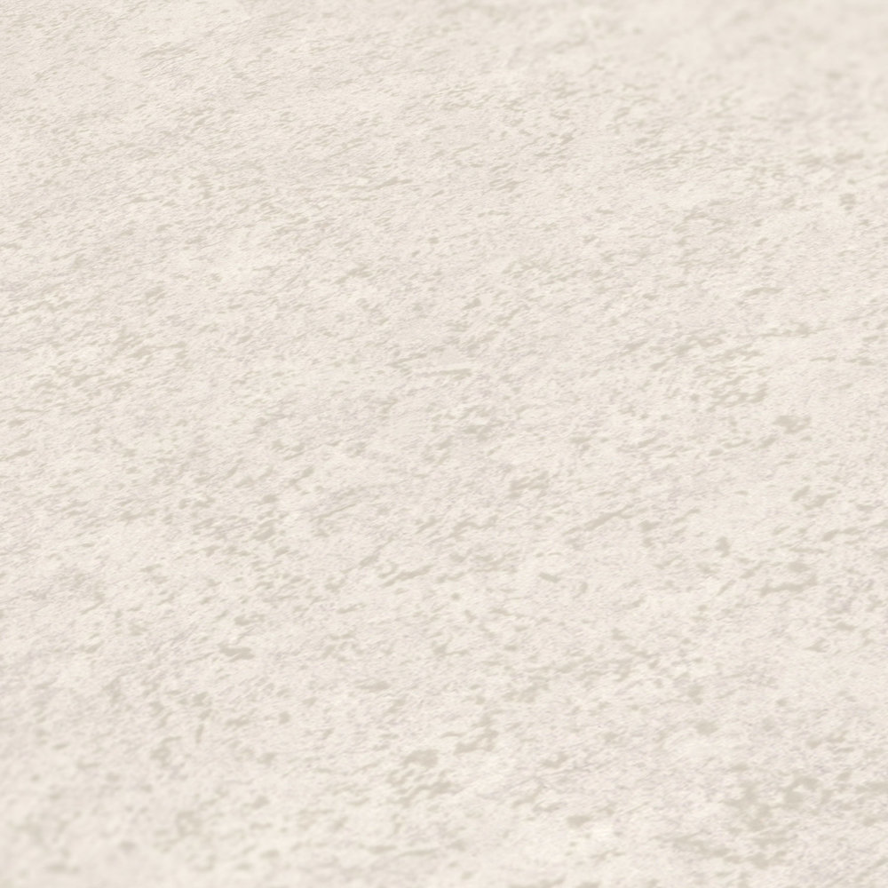             Matte Vliestapete mit Putzoptik – Beige, Weiß
        