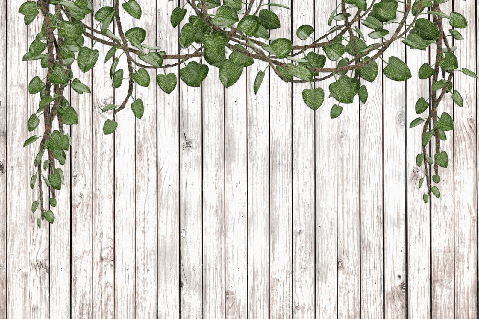             Leinwandbild Holzwand mit herabragenden Blättern naturell – 0,90 m x 0,60 m
        