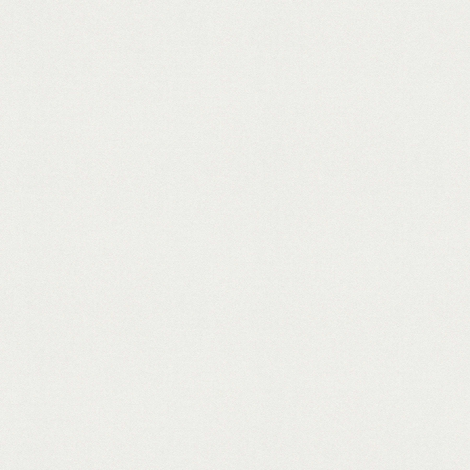         Neutrale Vliestapete einfarbig, hell & glatt – Weiß
    