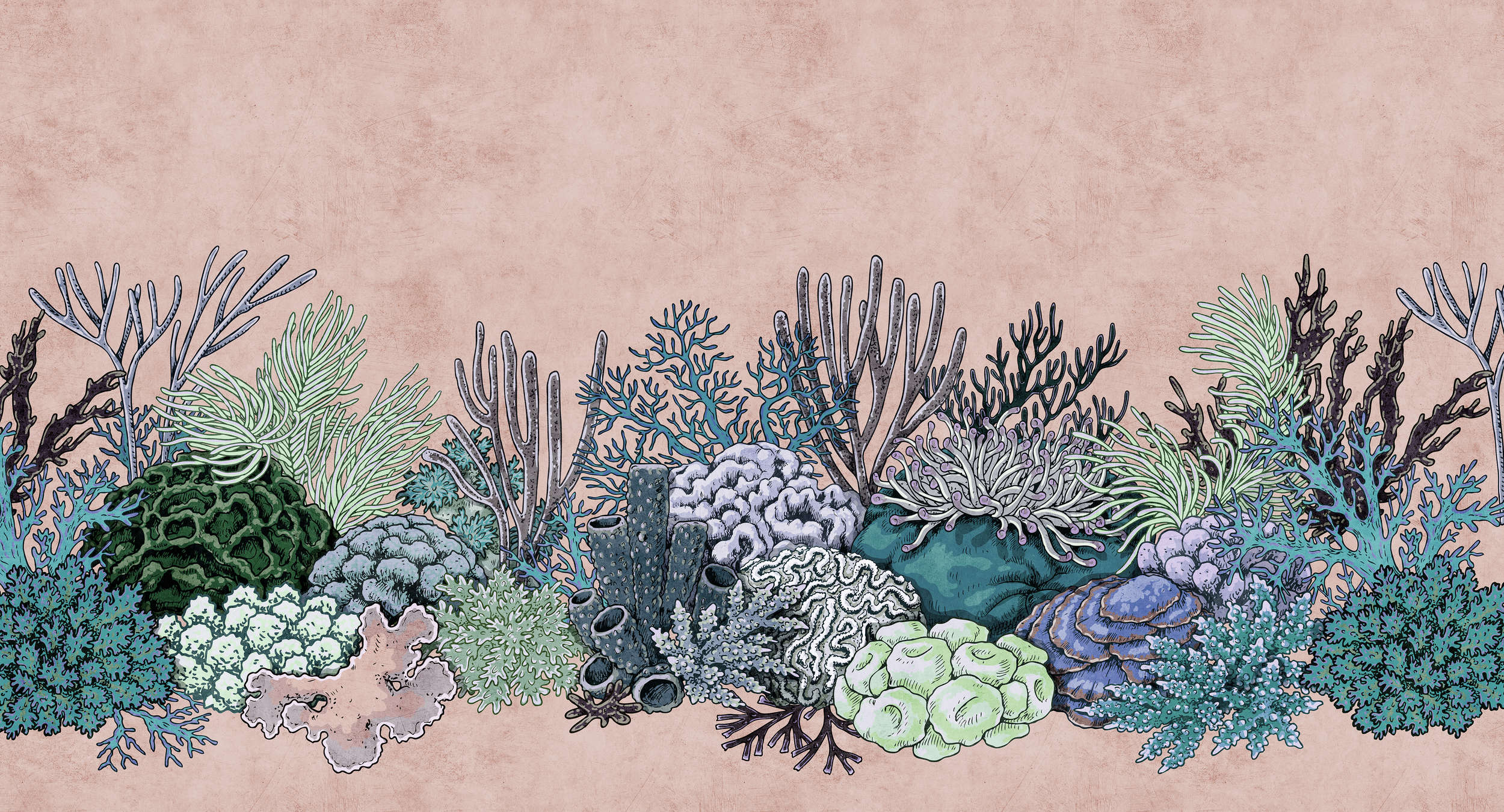             Octopus´s Garden 2 - Korallen Fototapete in Löschpapier Struktur im Zeichenstil – Grün, Rosa | Struktur Vlies
        