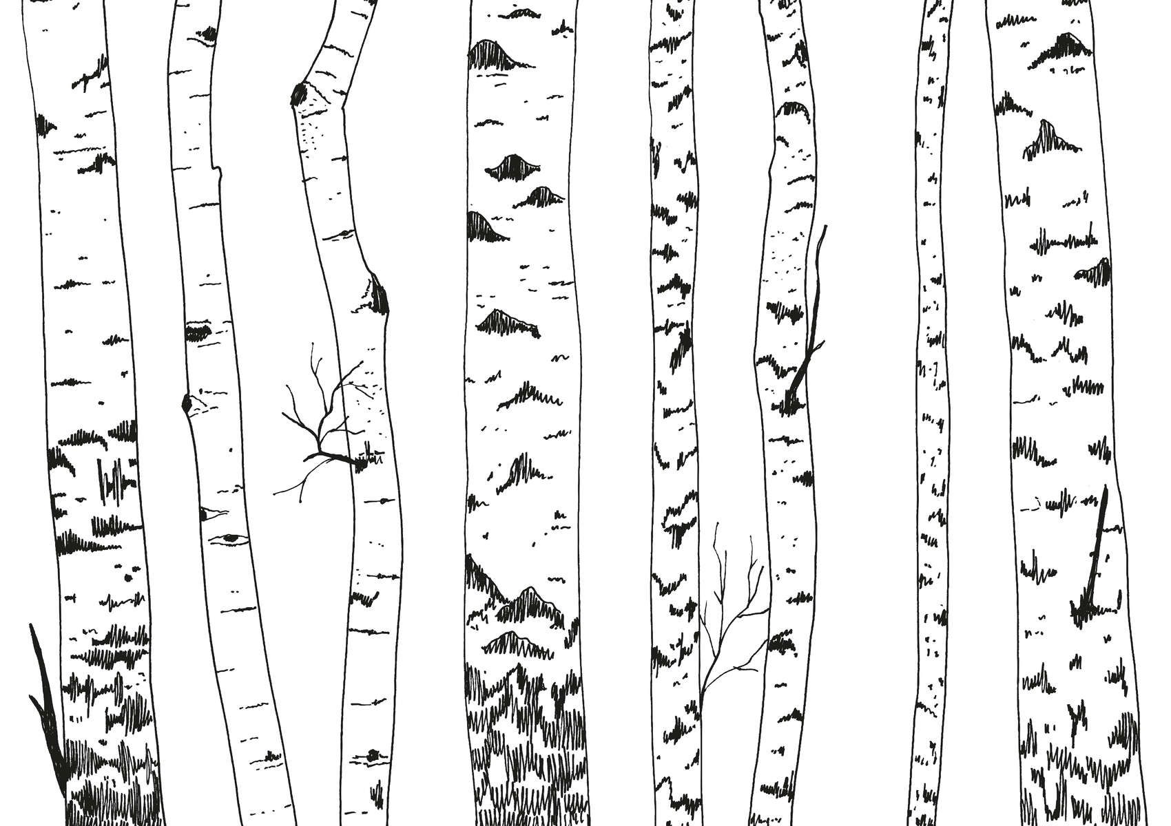             Fototapete gezeichneter Birkenwald – Glattes & perlmutt-schimmerndes Vlies
        