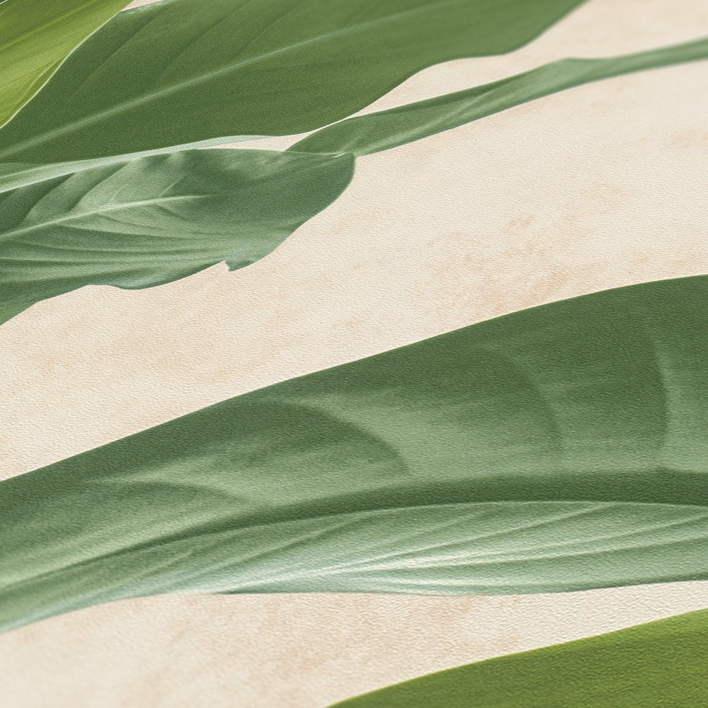             Vliestapete mit modernem Blätter-Design – Creme, Grün
        