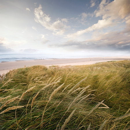         Dünen auf Sylt – Fototapete Strand mit Wolkenhimmel
    