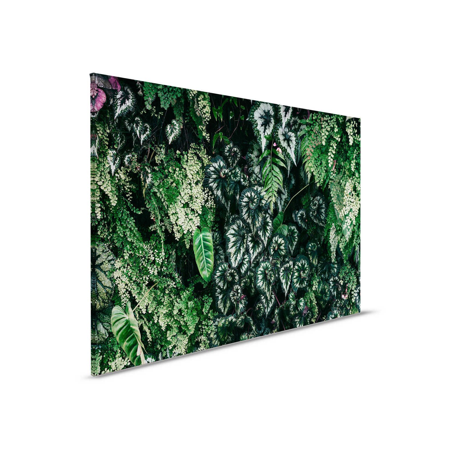         Deep Green 2 - Leinwandbild Blätterdickicht, Farne & Hängepflanzen – 0,90 m x 0,60 m
    