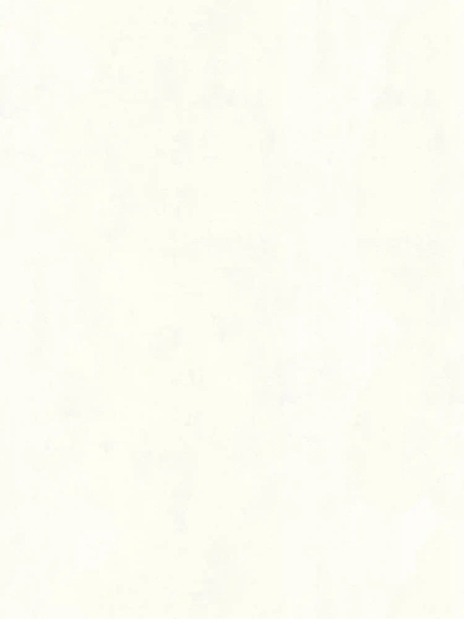 Vliestapete Adelaide einfarbig mit Farbschraffur – Weiß
