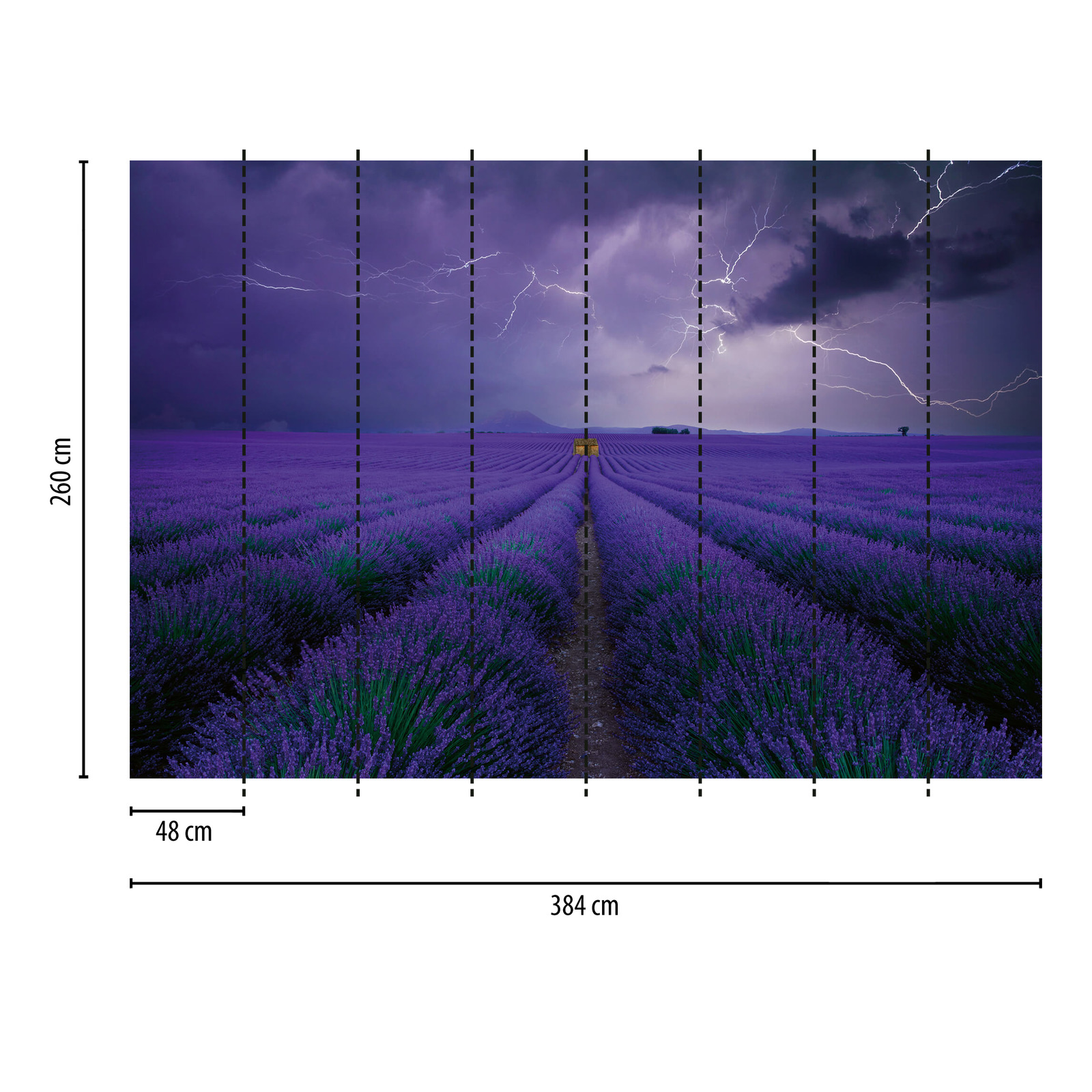             Fototapete Lavendel Feld – Violett, Grün, Braun
        