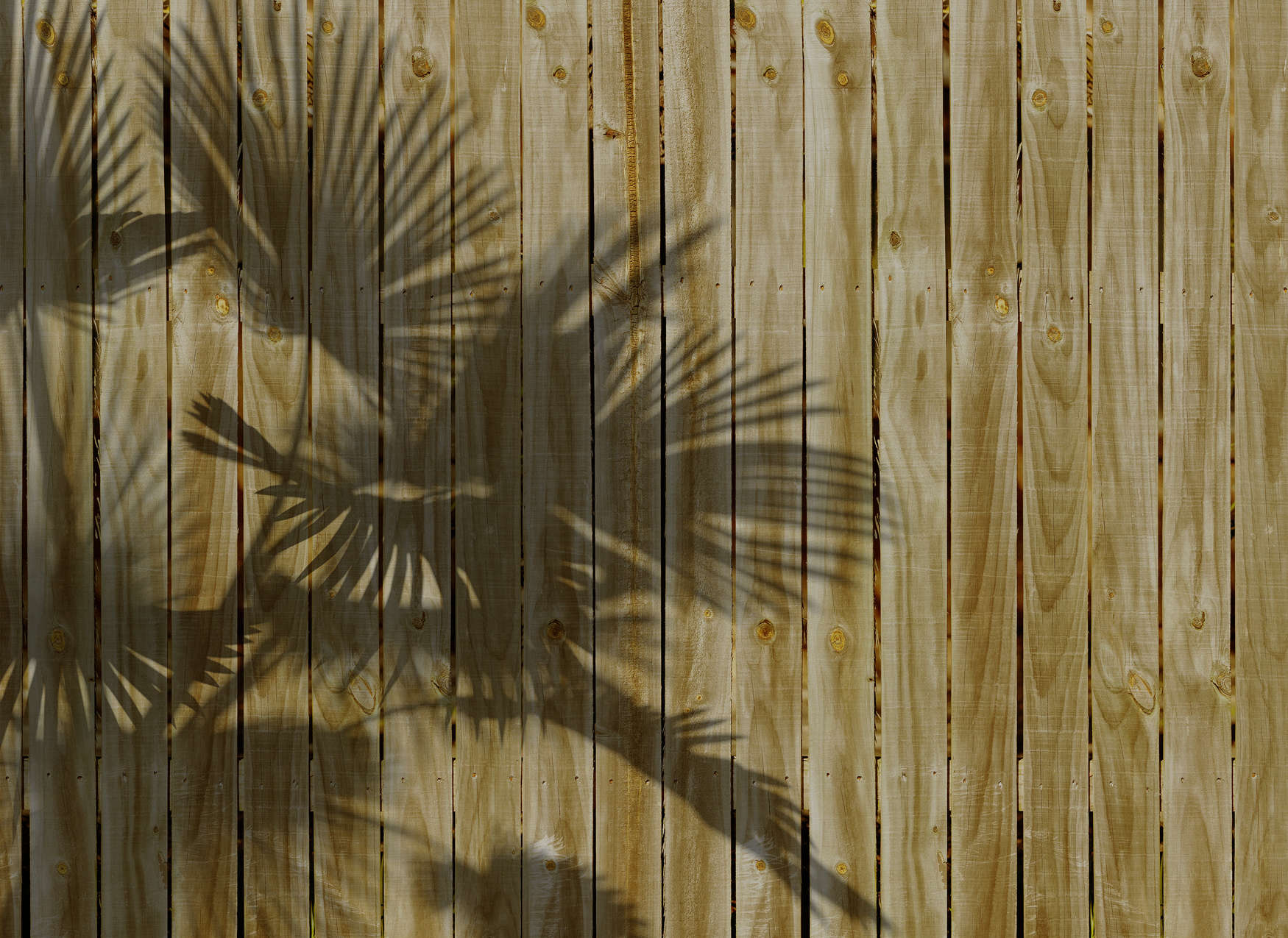             Fototapete mit Holzoptik und Palmblatt-Schatten – Beige
        