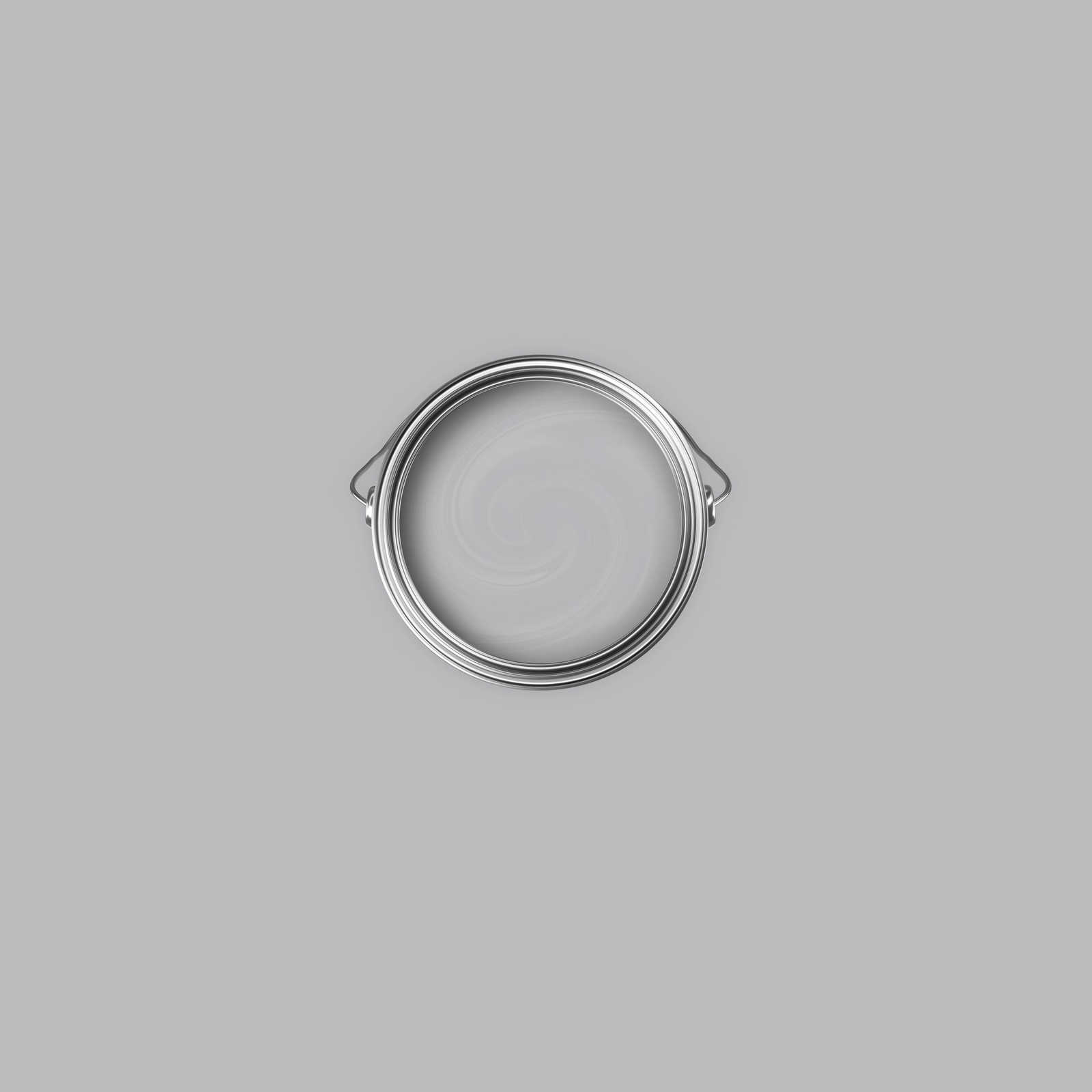             Premium Wandfarbe ausgeglichenes Silber »Industrial Grey« NW101 – 1 Liter
        