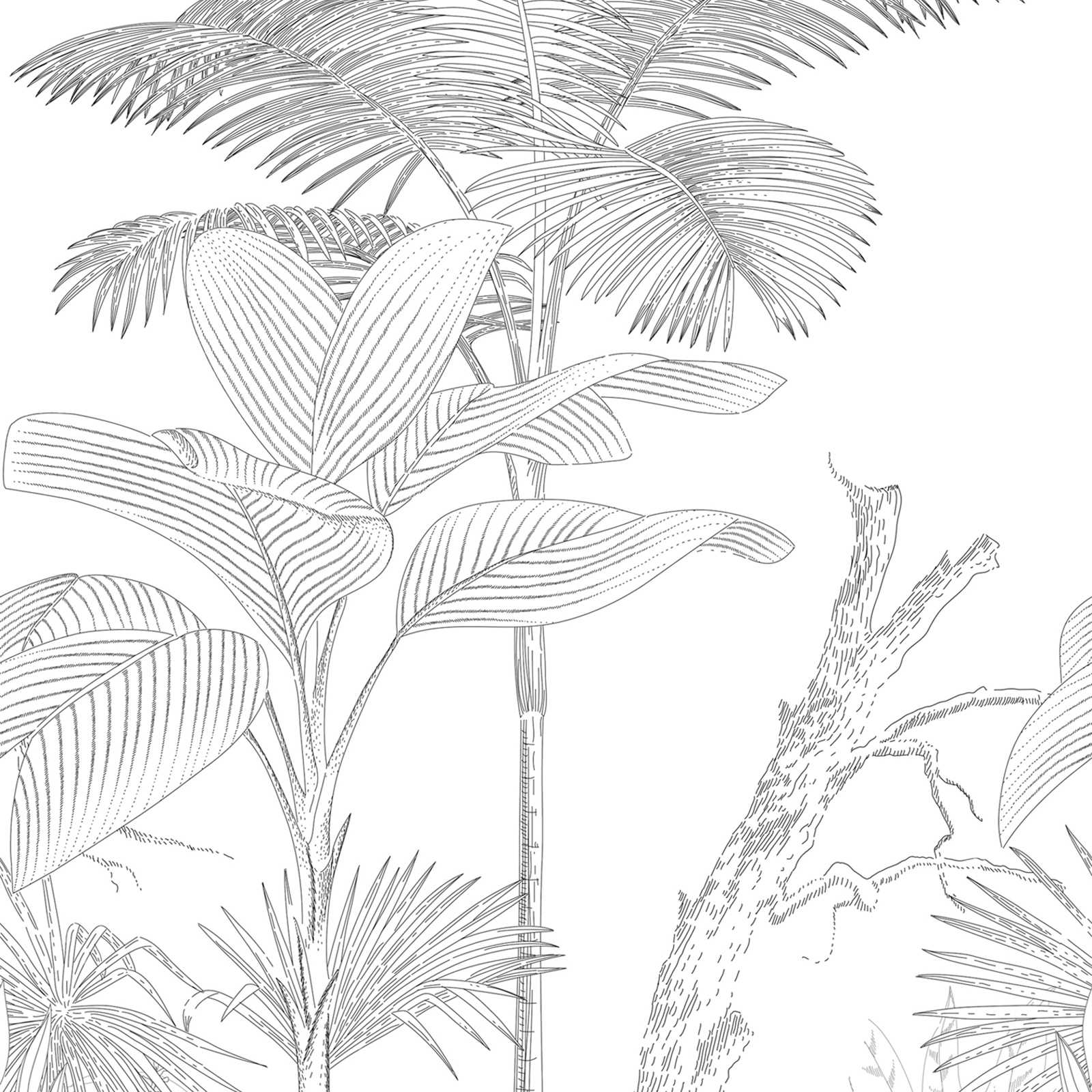 Vliestapete mit gezeichnetem Dschungelmotiv – Schwarz, Weiß
