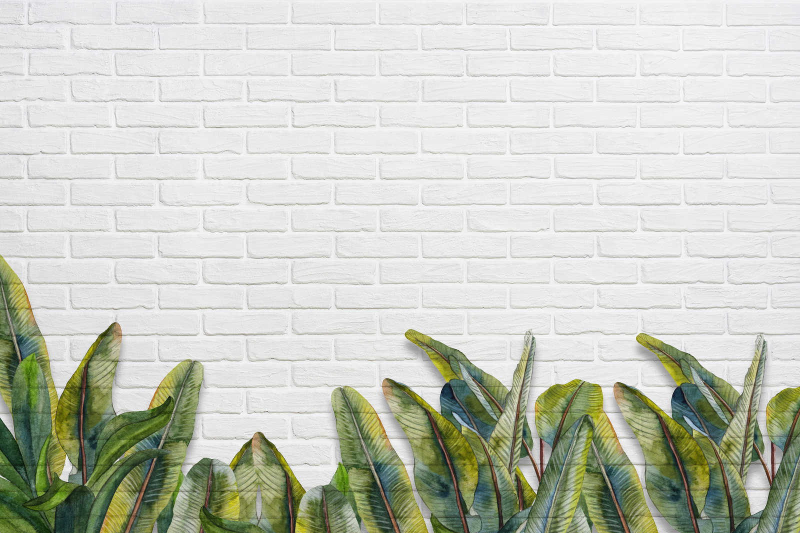             Leinwandbild mit Blättern vor weißer Backsteinmauer – 0,90 m x 0,60 m
        