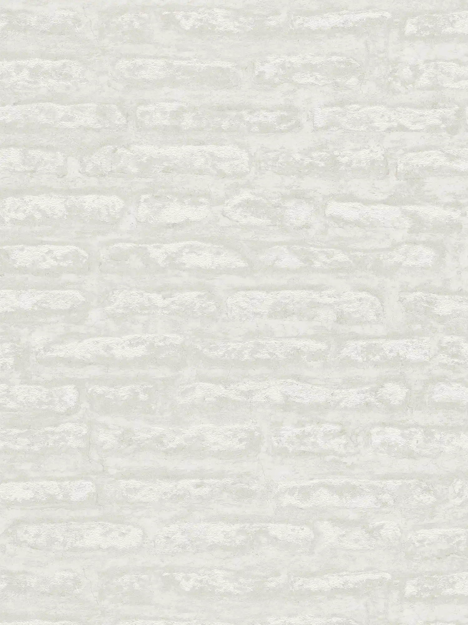             Abstrakte Putz Optik Tapete in matt – Weiß, Hellgrau
        