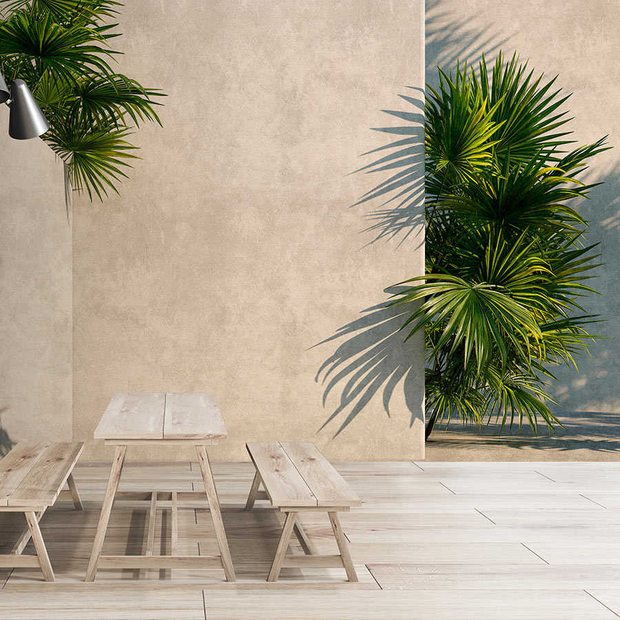 Tunis 1 – Fototapete Palmen im Innenhof mit Putz-Wänden
