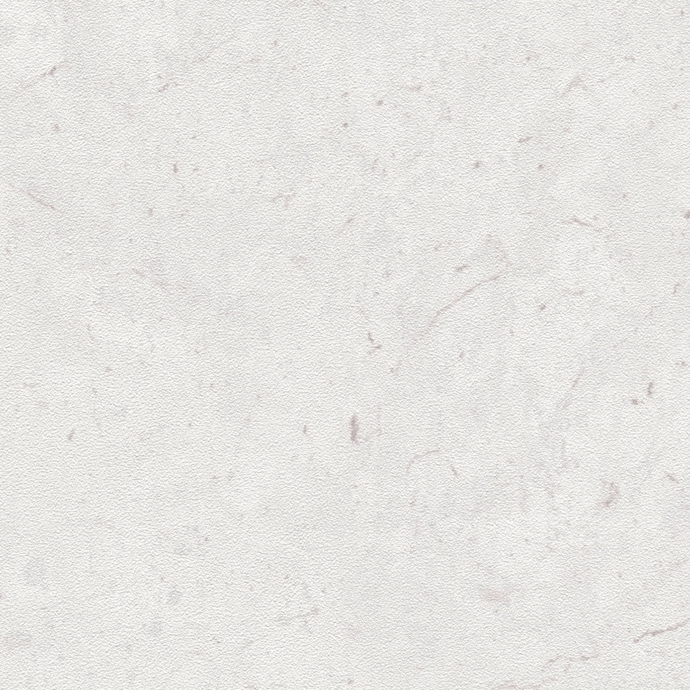             Vliestapete einfarbig mit Betonoptik – Grau, Weiß
        