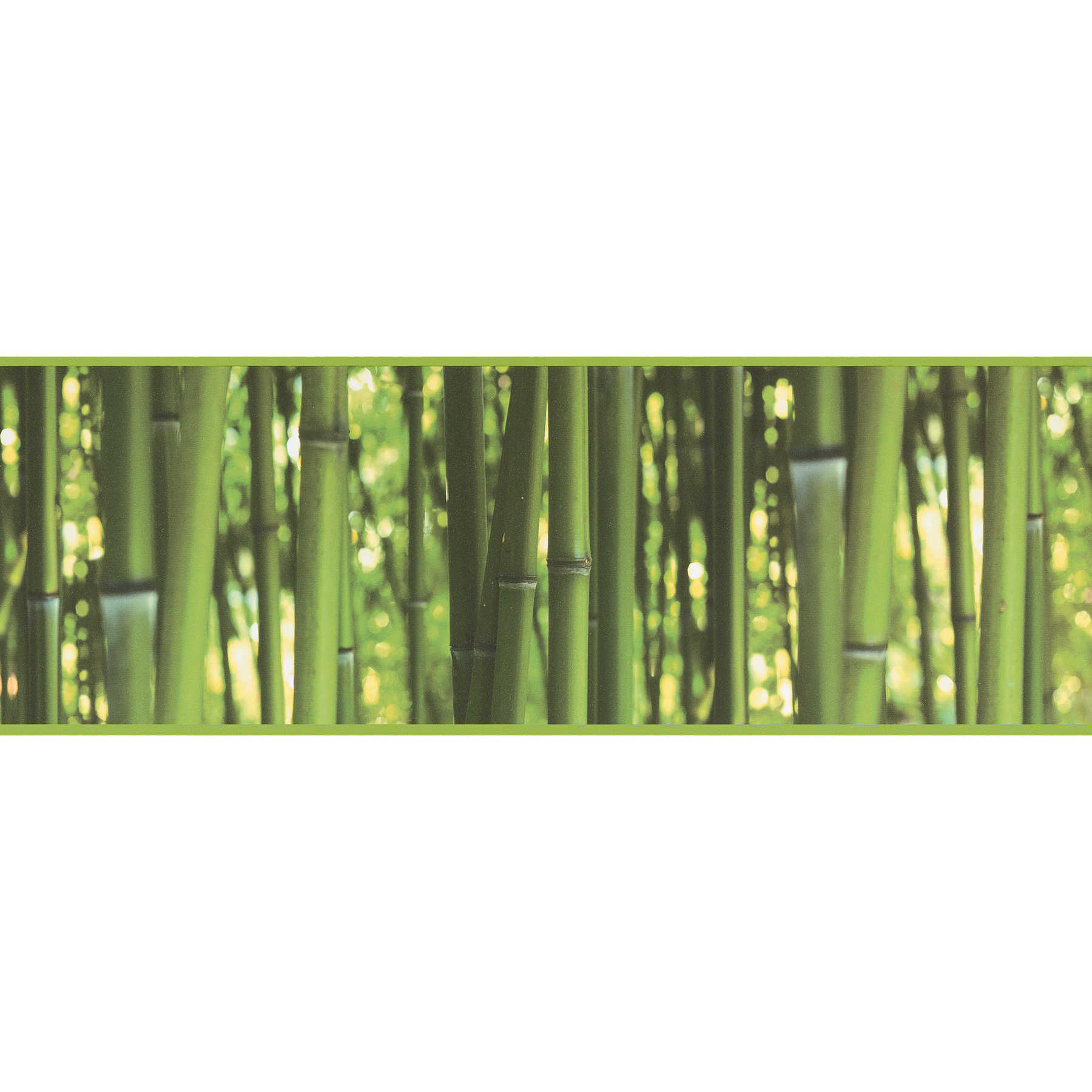         Selbstklebende Tapetenbordüre Bambus Wald – Grün
    