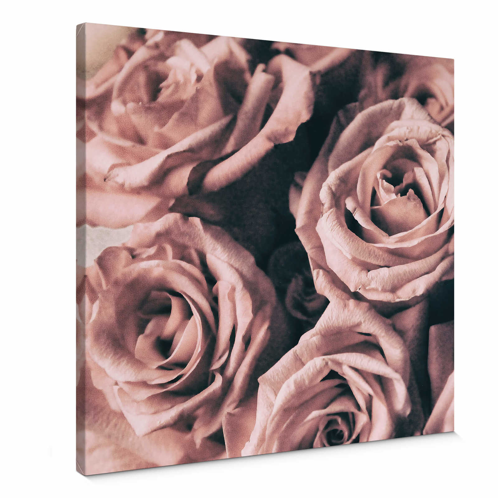         Leinwandbild Rosen Blütenmotiv im Vintage Stil – 0,50 m x 0,50 m
    