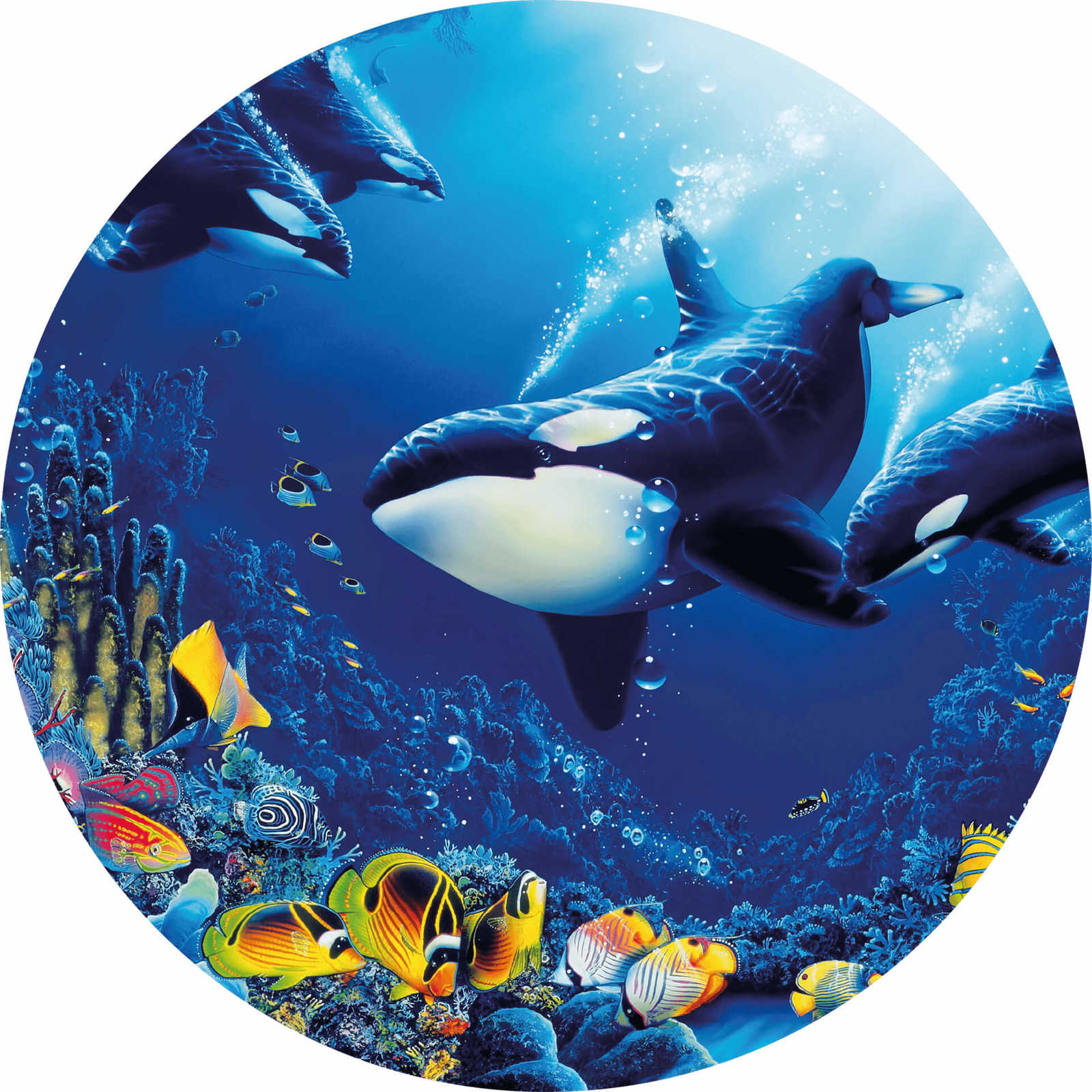 Runde Fototapete mit Unterwasserwelt und Walen
