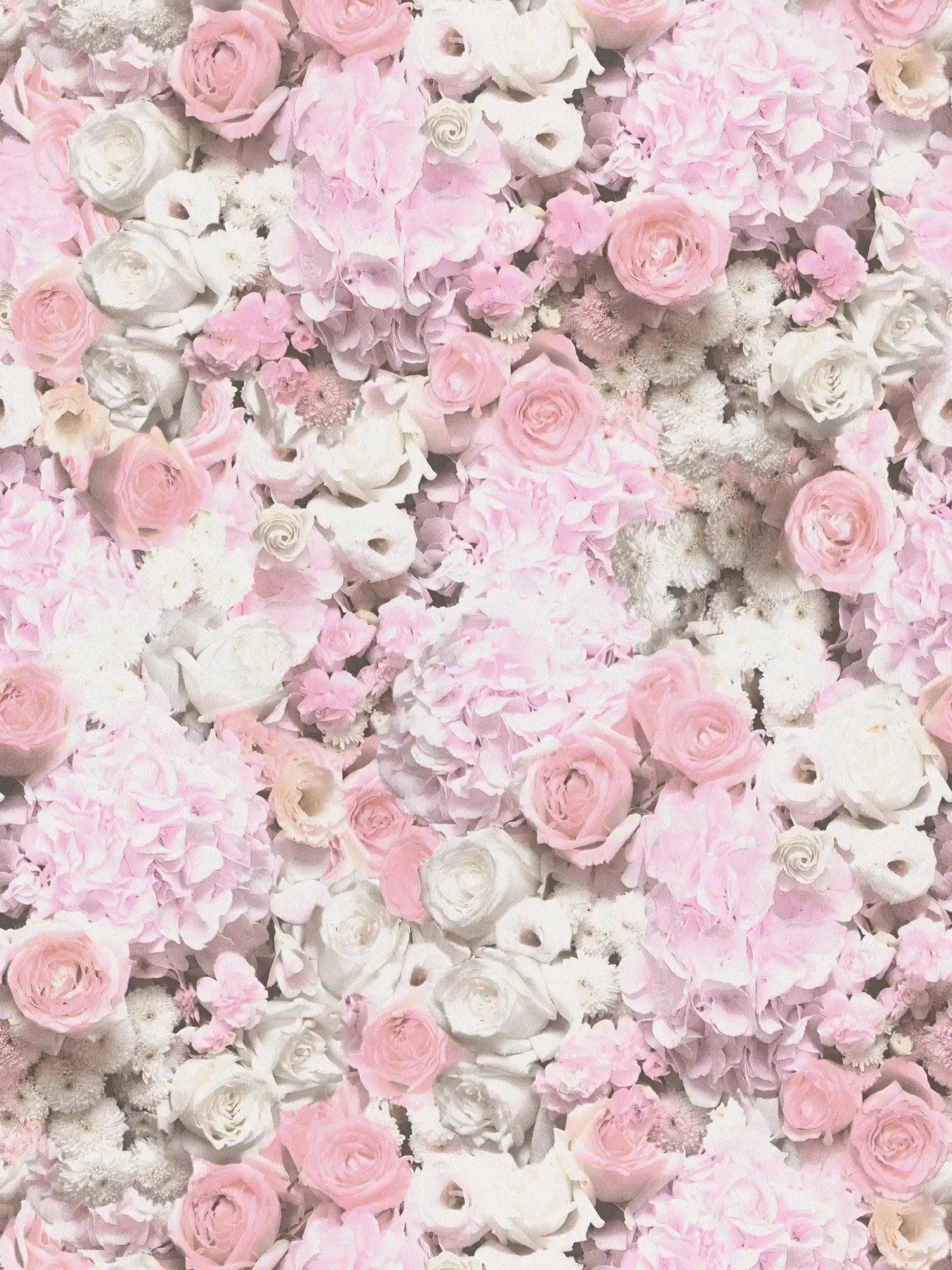 Tapete Rosen & Blüten Muster – Rosa, Weiß

