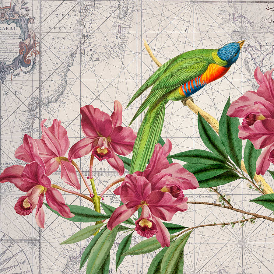         Fototapete Vintage Landkarten Look, Papagei & Blumen
    